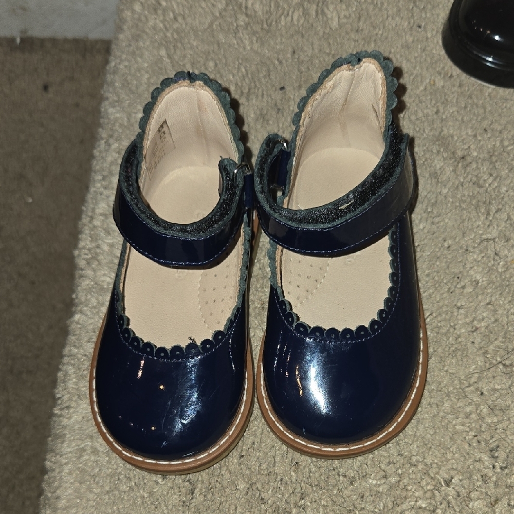 Elephantito Blue Dress Shoes with Glossy Finish